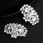 Load image into Gallery viewer, Miallo Shiny Rhinestone Shoe Accessories Stylish Women High Heel Shoe Buckles Metal Decorative Shoe Clips SC-J054
