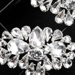 Load image into Gallery viewer, Miallo Shiny Rhinestone Shoe Accessories Stylish Women High Heel Shoe Buckles Metal Decorative Shoe Clips SC-J054
