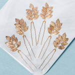Load image into Gallery viewer, Miallo Simple Creative Gold Metal Leaves Hair pin (6 pcs/pack) Fashion Bride Wedding Hairpin Jewelry Headdress HS-J6486
