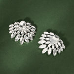 Load image into Gallery viewer, Miallo New Style Wedding Shoe Accessories Daily DIY Detachable Shoe Clasps with Rhinestones SC-J071
