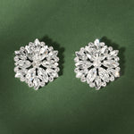 Load image into Gallery viewer, Miallo European American Bridal Wedding Shoe Buckles Marquise Glass Rhinestone Floral Shoe Clasps SC-J075
