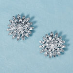 Load image into Gallery viewer, Miallo Bridal Rhinestone Shoe Accessories DIY Detachable Shoe Clips Versatile Shoe Buckles for Wedding Dresses Formal Gowns SC-J064
