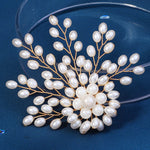 Load image into Gallery viewer, Miallo Delicate Luxury Pearl Brooch Bridal Wedding Fashion Accessories Daily Simple Women Jewelry BRS-J406G
