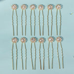 Load image into Gallery viewer, Miallo Exquisite Shiny Rhinestone Flower U Shaped Hairpins (12pcs/pack) Bridal Wedding Hair Accessories For Women and Girls HS-J3841

