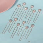 Load image into Gallery viewer, Miallo Exquisite Shiny Rhinestone Flower U Shaped Hairpins (12pcs/pack) Bridal Wedding Hair Accessories For Women and Girls HS-J3841
