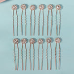 Load image into Gallery viewer, Miallo Exquisite Shiny Rhinestone Flower U Shaped Hairpins (12pcs/pack) Bridal Wedding Hair Accessories For Women and Girls HS-J3841
