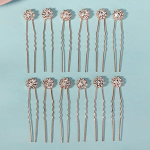 Miallo Exquisite Shiny Rhinestone Flower U Shaped Hairpins (12pcs/pack) Bridal Wedding Hair Accessories For Women and Girls HS-J3841