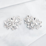 Load image into Gallery viewer, Miallo Exquisite Versatile Bridal Shoe Buckles Fashion Sparkling Rhinestone Shoe Accessories Detachable Shoe Clips SC-J052
