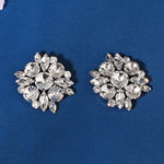 Load image into Gallery viewer, Miallo New Style Fashion Rhinestone Shoe Clips Luxury Versatile Shoe Buckles Removable Shoe Clips SC-J077
