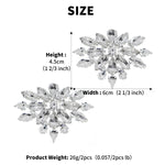 Load image into Gallery viewer, Miallo Rhinestone Bride Wedding Detachable Shoe Buckle (2pcs/pack) High Heels Shoes Clip Women Shoe Decoration Accessories SC-J063
