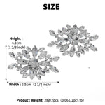 Load image into Gallery viewer, Miallo Luxury Versatile Shoe Accessories Shiny Rhinestone Shoe Buckles Exquisite High-Heel Shoe Clips SC-J078
